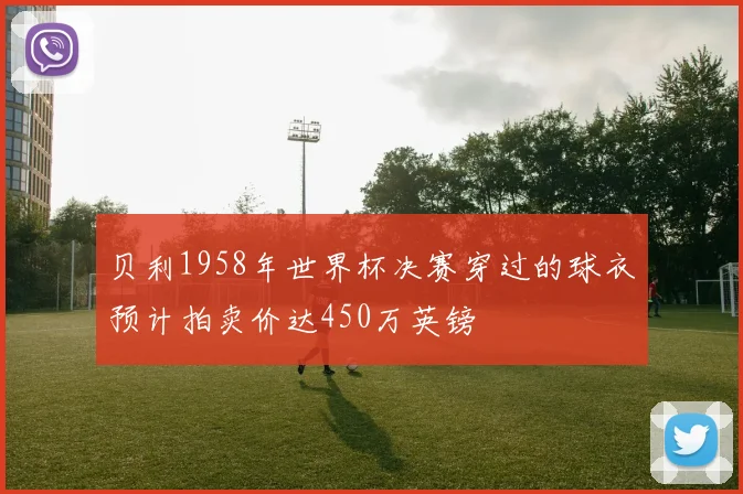 贝利1958年世界杯决赛穿过的球衣预计拍卖价达450万英镑